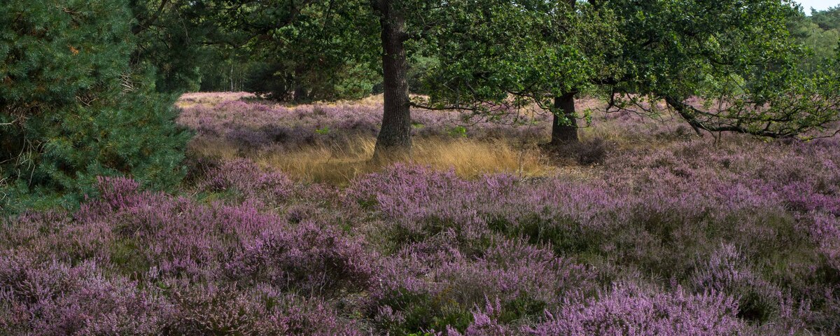 Wandelroute Sprengenberg