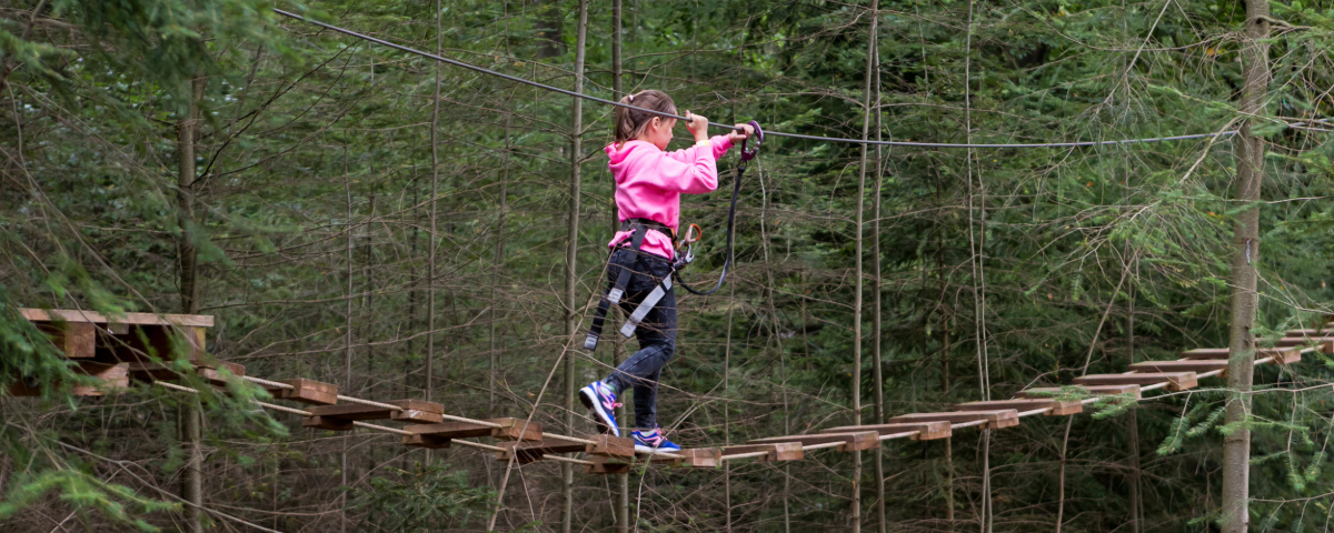 Climbing Forest for Kids in the Veluwe National Park