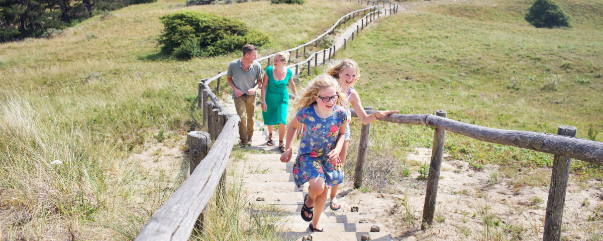 Wandeling in de Nederlandse natuur