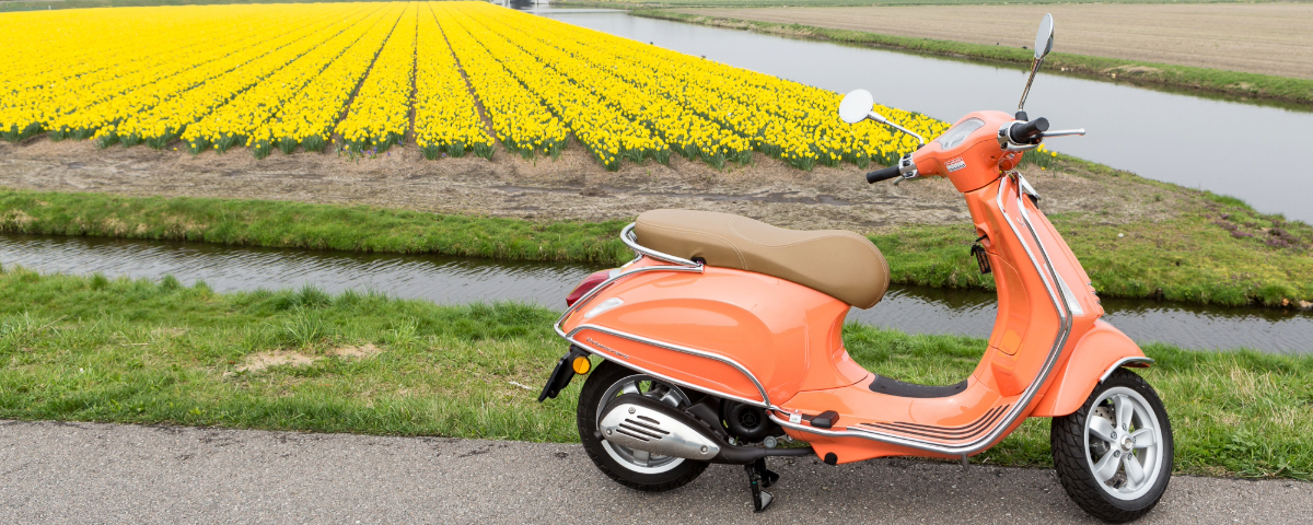 Haarlem en de Keukenhof