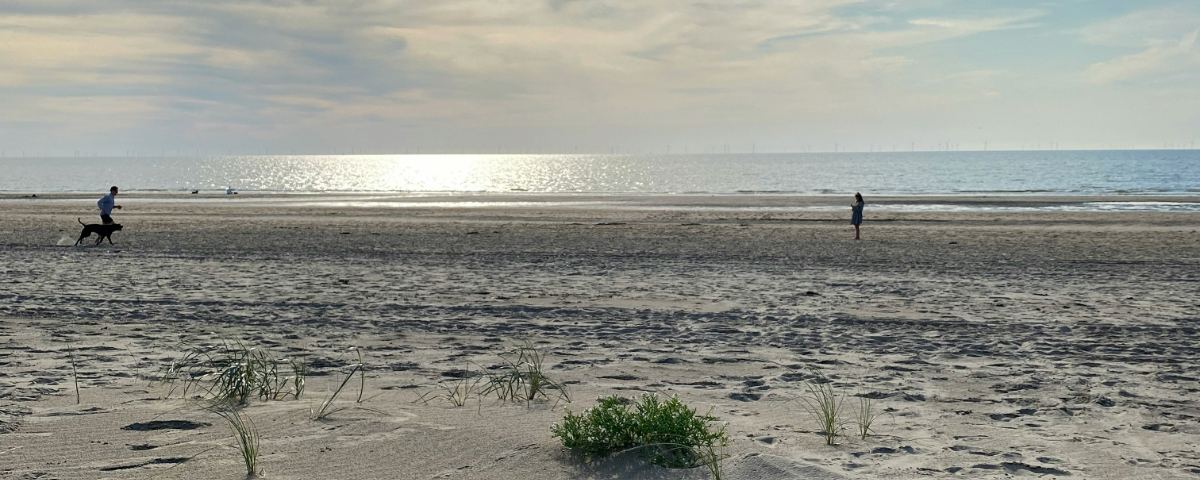 rennen aan het strand van noordwijk
